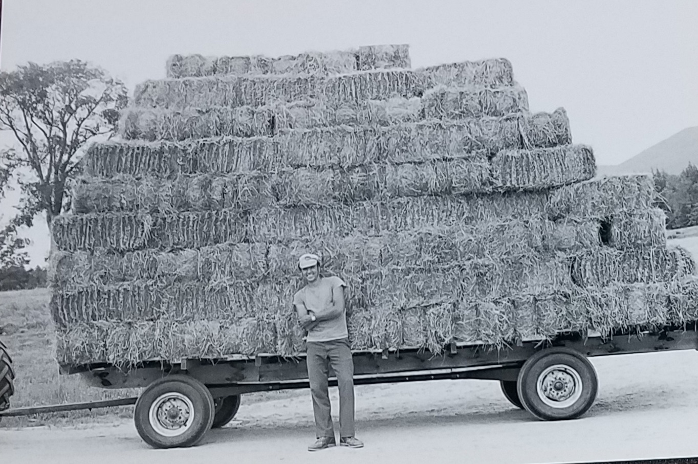 truck loaded & overflowing with hay - took George & brother Steve 20 minutes!